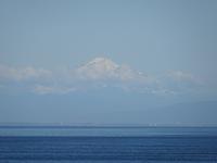 6. Tag Ausflug nach Vancouver Island (19) &ndash; &copy; Isabel Zwanzig (Eberhardt TRAVEL)
