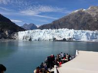 12. Tag Glacier Bay-Nationalpark (20) &ndash; &copy; Isabel Zwanzig (Eberhardt TRAVEL)