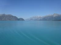 12. Tag Glacier Bay-Nationalpark (71) &ndash; &copy; Isabel Zwanzig (Eberhardt TRAVEL)