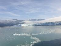13. Tag Fahrt zum Hubbard-Gletscher (10) &ndash; &copy; Isabel Zwanzig (Eberhardt TRAVEL)