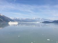 13. Tag Fahrt zum Hubbard-Gletscher (21) &ndash; &copy; Isabel Zwanzig (Eberhardt TRAVEL)