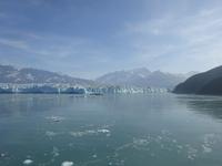 13. Tag Fahrt zum Hubbard-Gletscher (68) &ndash; &copy; Isabel Zwanzig (Eberhardt TRAVEL)