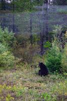 Mount Robson Park &ndash; &copy; Vivien Fiedler (Eberhardt TRAVEL)