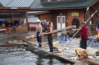 Ketchikan – Lumberjack Show &ndash; &copy; Vivien Fiedler (Eberhardt TRAVEL)