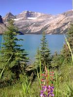 Bow Lake &ndash; &copy; Lydia Gräbner (Eberhardt TRAVEL)
