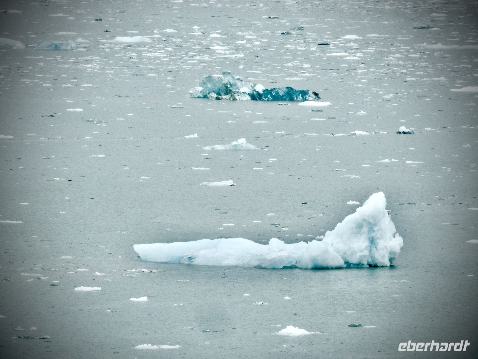 Alaska - Gletscherbucht &ndash; &copy; Sabine Letzybyll (Eberhardt TRAVEL)
