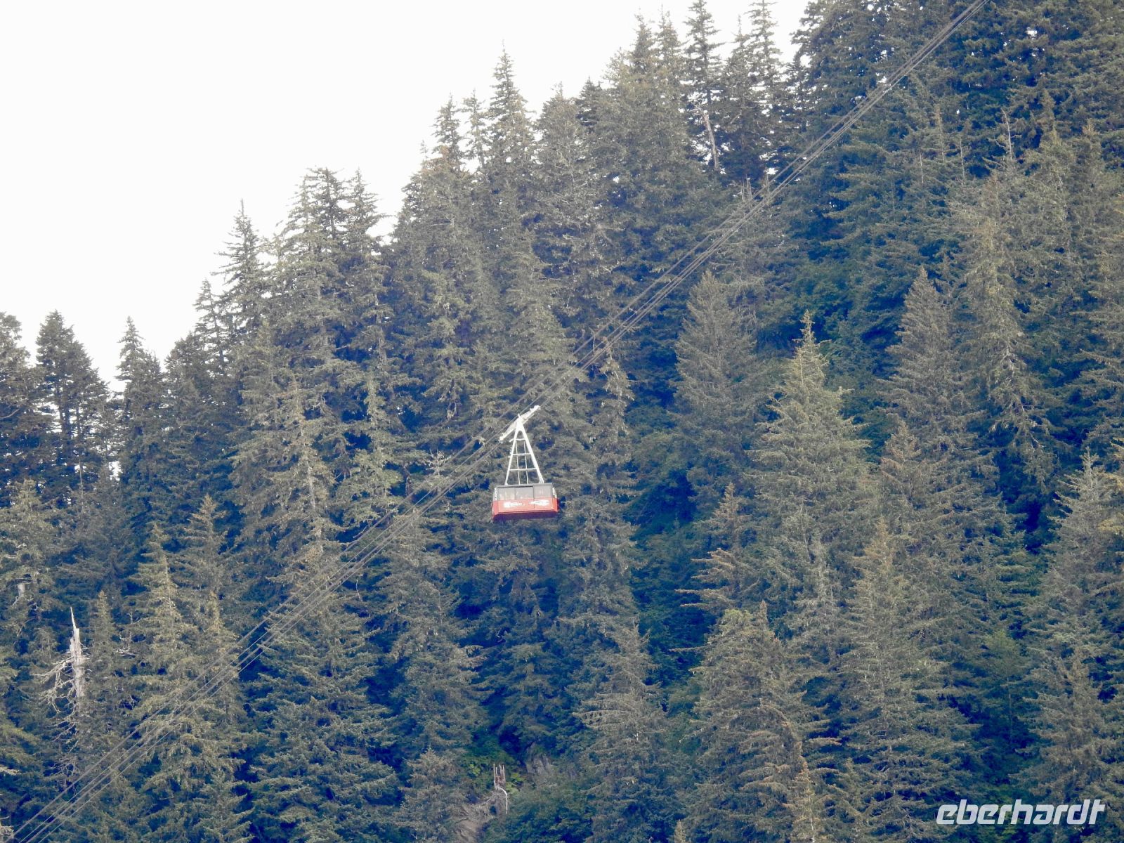 Alaska - Juneau - Mount Roberts Tramway &ndash; &copy; Sabine Letzybyll (Eberhardt TRAVEL)