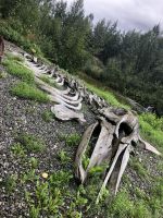 Alaska - Anchorage - Alaska Native Heritage Center &ndash; &copy; Sabine Letzybyll (Eberhardt TRAVEL)
