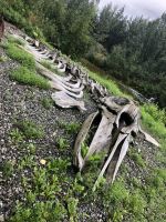 Alaska - Anchorage - Alaska Native Heritage Center &ndash; &copy; Sabine Letzybyll (Eberhardt TRAVEL)