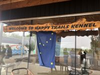 Alaska - Huskyfarm &ndash; &copy; Sabine Letzybyll (Eberhardt TRAVEL)