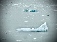 Alaska - Gletscherbucht &ndash; &copy; Sabine Letzybyll (Eberhardt TRAVEL)