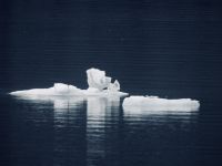Alaska - Gletscherbucht &ndash; &copy; Sabine Letzybyll (Eberhardt TRAVEL)