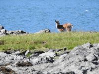 Ketchikan - Alaska &ndash; &copy; Sabine Letzybyll (Eberhardt TRAVEL)