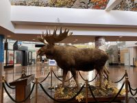 Good Bye Anchorage (3) &ndash; &copy; Thomas Krupp (Eberhardt TRAVEL)