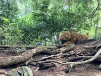 Butcharts Garden &ndash; &copy; Mareike Schmidt (Eberhardt TRAVEL)