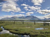 Wilderness Express &ndash; &copy; Mareike Schmidt (Eberhardt TRAVEL)