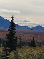 0135 Denali Nationalpark - Über den Wolken der Denali &ndash; &copy; Jens Petzoldt (Eberhardt TRAVEL)