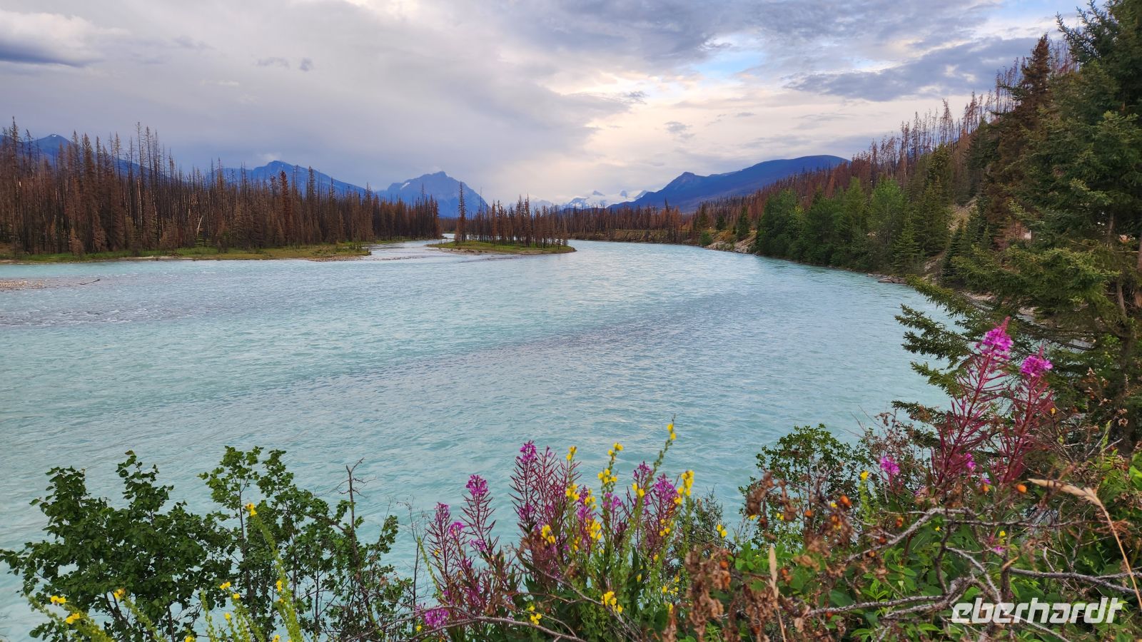 Peyto Lake &ndash; &copy; Petra Hady (Eberhardt TRAVEL)