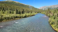 Denali Nationalpark &ndash; &copy; Petra Hady (Eberhardt TRAVEL)