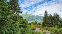 Spaziergang am Mendenhall - Gletscher &ndash; &copy; Petra Hady (Eberhardt TRAVEL)