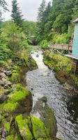 Ketchikan &ndash; &copy; Petra Hady (Eberhardt TRAVEL)