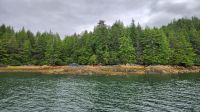 Ketchikan - Lighthouse Excousions Bootstour &ndash; &copy; Petra Hady (Eberhardt TRAVEL)