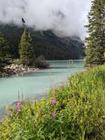 38. Lake Louise, Banff Nationalpark.jpg &ndash; &copy; Teresa Rumpel (Eberhardt TRAVEL)