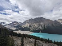 45. Peyto Lake Lookout, Icefields Parkway.jpg &ndash; &copy; Teresa Rumpel (Eberhardt TRAVEL)
