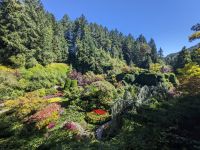 130. Besuch der Butchart Gardens, Vancouver Island.jpg &ndash; &copy; Teresa Rumpel (Eberhardt TRAVEL)