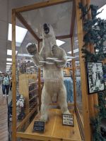 199. Spaziergang durch die Stadt - Ketchikan, Alaska.jpg &ndash; &copy; Teresa Rumpel (Eberhardt TRAVEL)