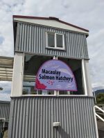 228. Macaulay Salmon Hatchery, Juneau, Alaska.jpg &ndash; &copy; Teresa Rumpel (Eberhardt TRAVEL)