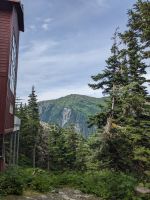 245. Gondelfahrt Mt. Roberts, Juneau, Alaska.jpg &ndash; &copy; Teresa Rumpel (Eberhardt TRAVEL)