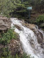 289. Schiffsausflug mit dem Zug in Skagway - White Pass Summit Scenic Rail Road.jpg &ndash; &copy; Teresa Rumpel (Eberhardt TRAVEL)