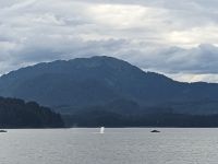 332. Buckelwale - Spaziergang von Icy Strait Point nach Hoonah, Alaska.jpg &ndash; &copy; Teresa Rumpel (Eberhardt TRAVEL)