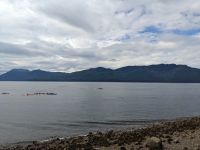 334. Buckelwale - Spaziergang von Icy Strait Point nach Hoonah, Alaska.jpg &ndash; &copy; Teresa Rumpel (Eberhardt TRAVEL)