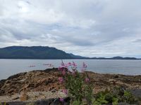 338. Spaziergang von Icy Strait Point nach Hoonah, Alaska.jpg &ndash; &copy; Teresa Rumpel (Eberhardt TRAVEL)