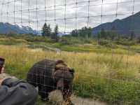 369. Alaska Wildlife Conservation Center, Alaska.jpg &ndash; &copy; Teresa Rumpel (Eberhardt TRAVEL)