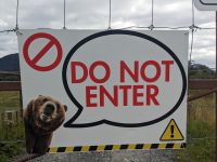 376. Alaska Wildlife Conservation Center, Alaska.jpg &ndash; &copy; Teresa Rumpel (Eberhardt TRAVEL)