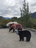 380. Alaska Wildlife Conservation Center, Alaska.jpg &ndash; &copy; Teresa Rumpel (Eberhardt TRAVEL)