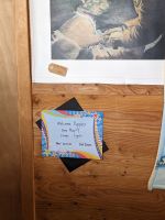 412. Huskyzucht von Martin Buser, Alaska.jpg &ndash; &copy; Teresa Rumpel (Eberhardt TRAVEL)