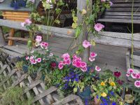 416. Mittagspause in Talkeetna, Alaska.jpg &ndash; &copy; Teresa Rumpel (Eberhardt TRAVEL)