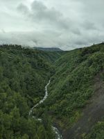 421. Fahrt zum Denali Nationalpark, Alaska.jpg &ndash; &copy; Teresa Rumpel (Eberhardt TRAVEL)