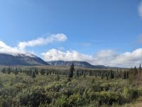 431. Ausflug in den Denali Nationalpark, Alaska.jpg &ndash; &copy; Teresa Rumpel (Eberhardt TRAVEL)