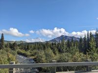 441. Ausflug in den Denali Nationalpark, Alaska.jpg &ndash; &copy; Teresa Rumpel (Eberhardt TRAVEL)