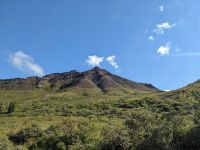 443. Ausflug in den Denali Nationalpark, Alaska.jpg &ndash; &copy; Teresa Rumpel (Eberhardt TRAVEL)
