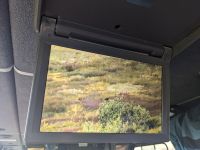 445. Ausflug in den Denali Nationalpark, Alaska.jpg &ndash; &copy; Teresa Rumpel (Eberhardt TRAVEL)