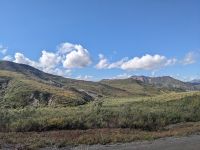 450. Ausflug in den Denali Nationalpark, Alaska.jpg &ndash; &copy; Teresa Rumpel (Eberhardt TRAVEL)