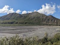 451. Ausflug in den Denali Nationalpark, Alaska.jpg &ndash; &copy; Teresa Rumpel (Eberhardt TRAVEL)
