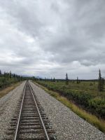 472. Alaska Express, Panoramazugfahrt von Denali vis Anchorage, Alaska.jpg &ndash; &copy; Teresa Rumpel (Eberhardt TRAVEL)
