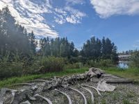 516. Alaska Heritage Center, Anchorage, Alaska.jpg &ndash; &copy; Teresa Rumpel (Eberhardt TRAVEL)